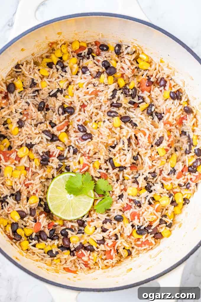 Hearty Harmony 4 A large white pan filled with a hearty serving of Black Beans and Rice, beautifully garnished with a wedge of fresh lime and vibrant cilantro.
