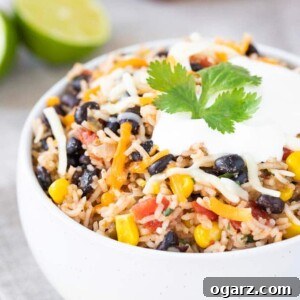 Hearty Harmony 5 Black Beans and Rice in a bowl, topped with cheese and sour cream