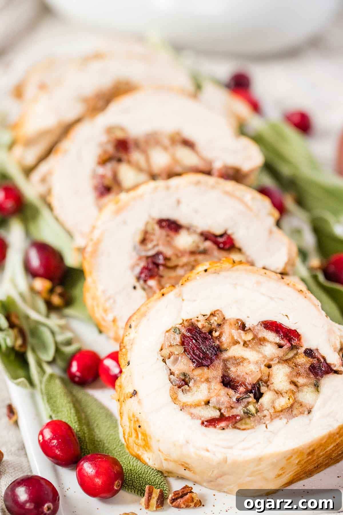 Gourmet Stuffed Turkey Breast 8 Stuffed turkey breast on a serving plate garnished with cranberries and sage.