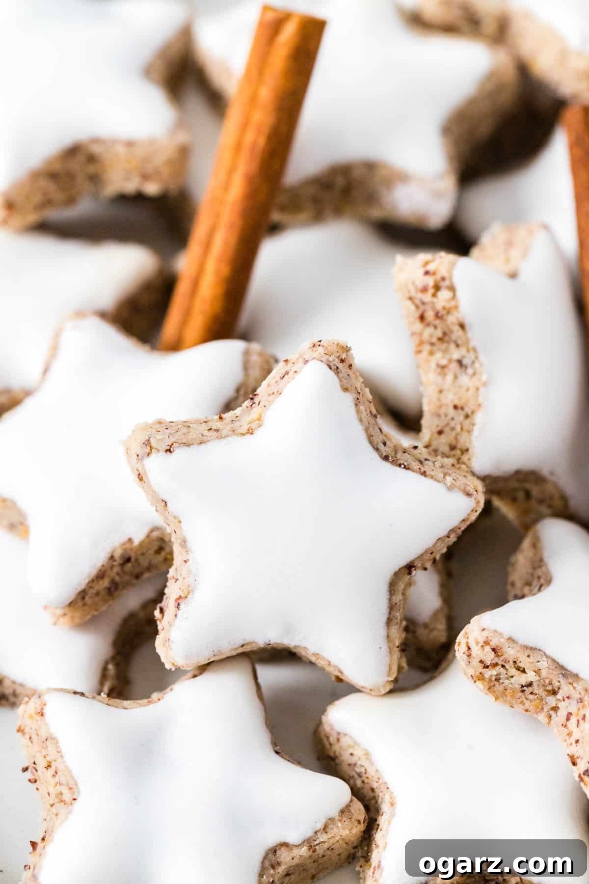 Starry Cinnamon Delights 2 Close-up of Cinnamon Stars, garnished with cinnamon stick.