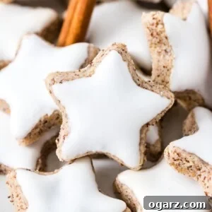 Starry Cinnamon Delights 7 Close-up of Cinnamon Stars, garnished with cinnamon stick.