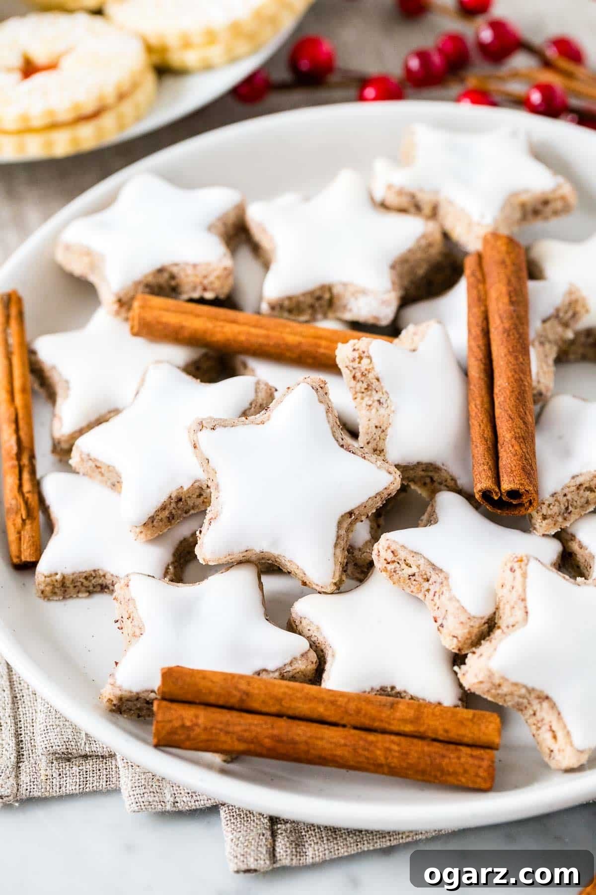 Starry Cinnamon Delights 5 A Plate of Cinnamon Stars, garnished with cinnamon sticks.