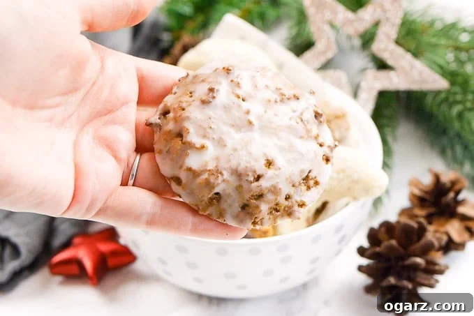 Authentic German Lebkuchen 8 A hand holding a beautifully sugar-glazed Lebkuchen. In the soft-focus background, a white bowl brimms with a variety of festive Christmas cookies, suggesting a joyful holiday spread.