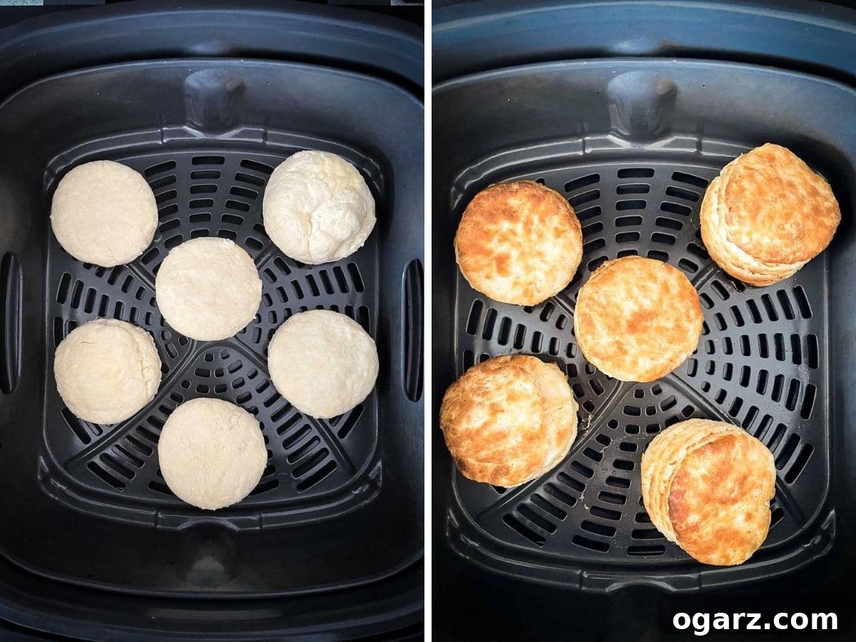 Golden Air Fryer Biscuits 6 Freshly baked, golden-brown biscuits arranged neatly in an air fryer basket, steam gently rising.