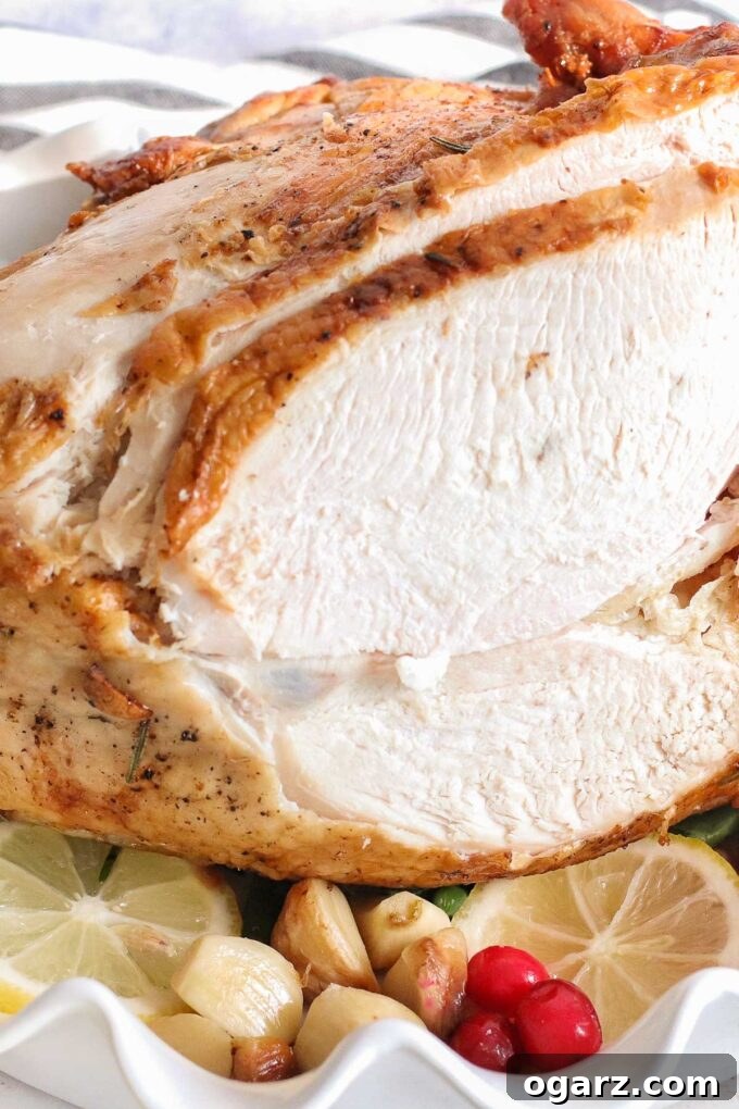 Crispy Air Fryer Turkey Breast 5 A perfectly sliced turkey breast, revealing its juicy interior and crispy skin