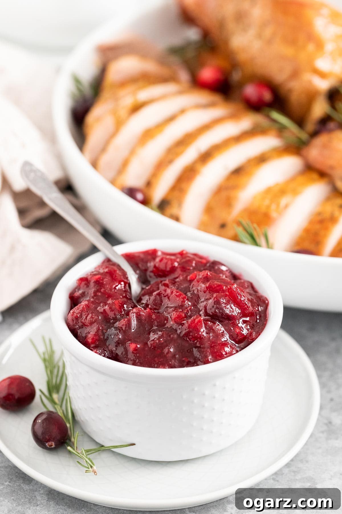 A white bowl filled with cranberry sauce on a small white plate with a spoon stuck in it, ready to be served.