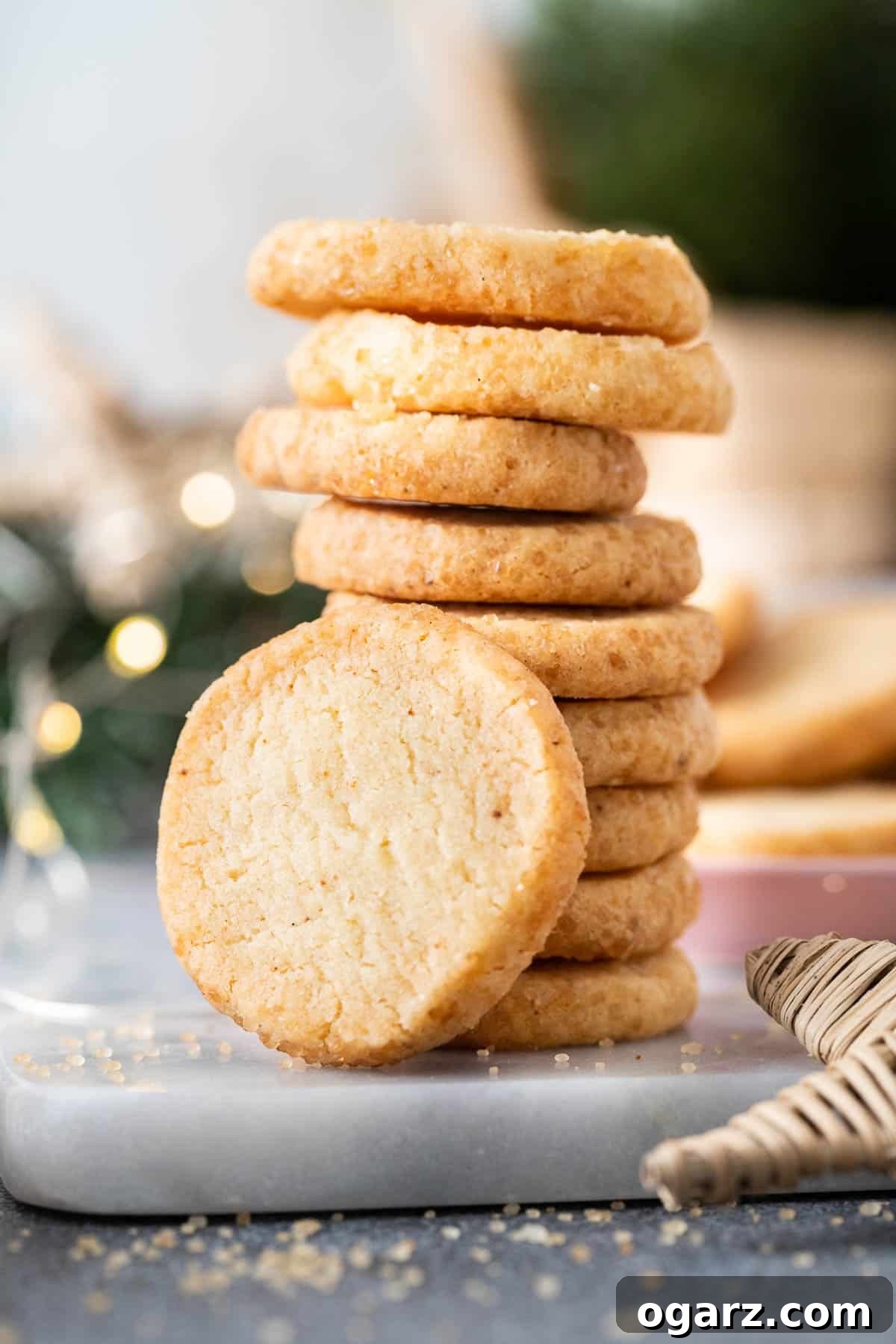 Heathland Crumbles 2 A stack of golden-brown German shortbread cookies, Heidesand, with one cookie delicately leaning against the stack, showcasing their crumbly texture.
