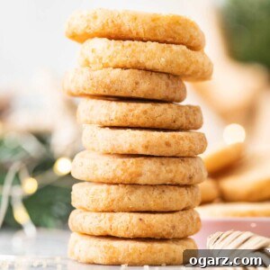 Heathland Crumbles 8 A stack of Heidesand cookies.