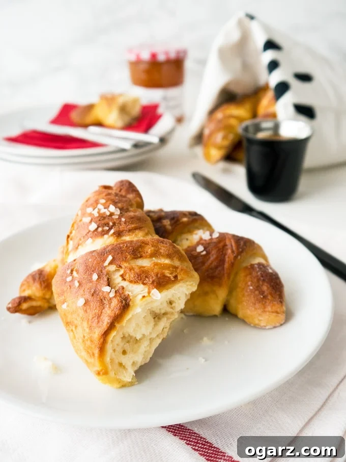 Effortless Pretzel Croissant Bliss 2 Easy homemade Pretzel Croissants with yeast dough and store-bought puff pastry. They combine the flakiness of a butter croissant with the texture of a pretzel.