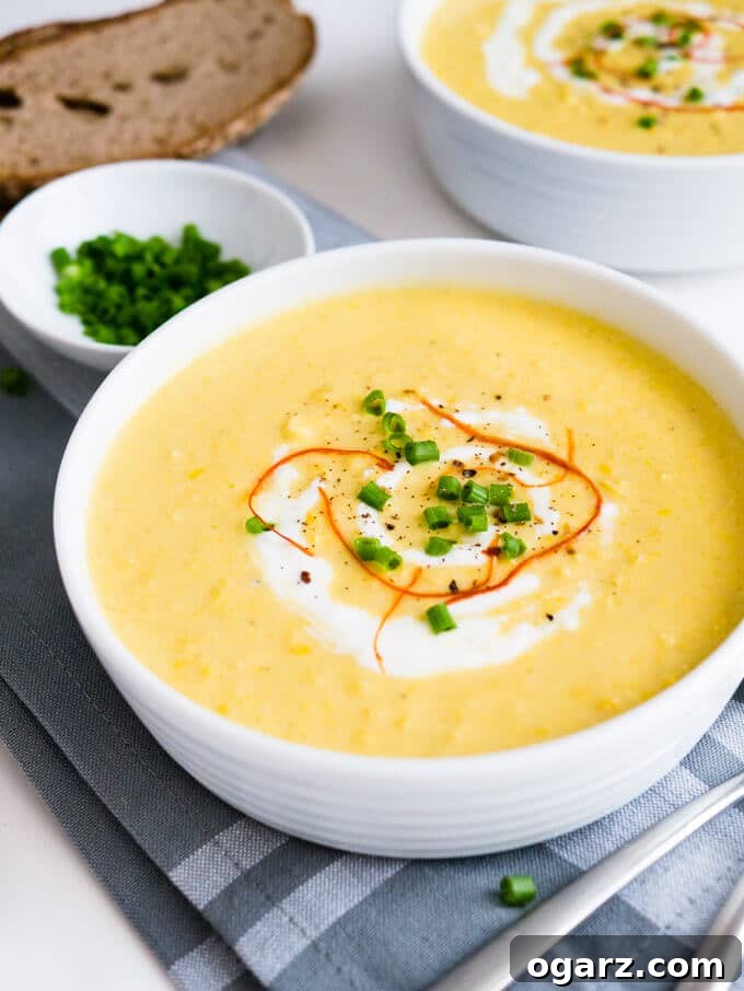 A top-down view of a single bowl of rich, creamy curried corn soup, garnished with delicate chili threads and chopped chives. The texture is smooth and inviting, with a focus on the fresh toppings.