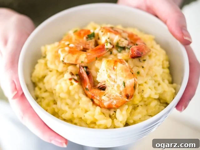 Golden Thread Shrimp Risotto 2 Hands holding up a white bowl with saffron risotto with fried shrimp. The golden risotto is topped with glistening pink shrimp and a sprinkle of fresh herbs.