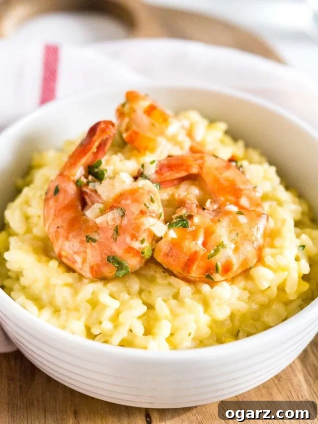 Golden Thread Shrimp Risotto 3 Close-up of a white bowl with saffron risotto with fried shrimp on a white dish towel with a red stripe. The rich texture of the risotto and the golden brown shrimp are clearly visible.
