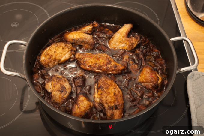 Effortless Coq au Vin Classic 6 Coq au Vin fresh from the oven, garnished with herbs