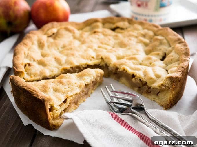 Covered German Apple Cake is one of the best apple cakes! Filled with cinnamon-seasoned apple chunks and topped with a vanilla shortbread crust. You can get this cake in every German bakery!