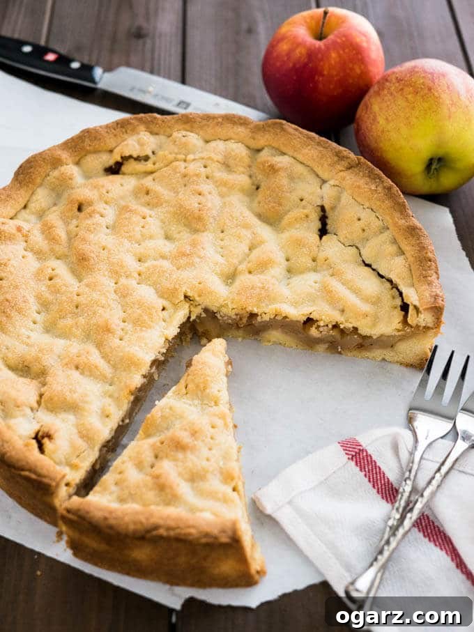 Covered German Apple Cake is one of the best apple cakes! Filled with cinnamon-seasoned apple chunks and topped with a vanilla shortbread crust. You can get this cake in every German bakery!