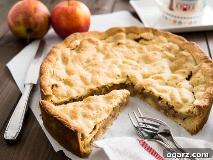 Covered German Apple Cake is one of the best apple cakes! Filled with cinnamon-seasoned apple chunks and topped with a vanilla shortbread crust. You can get this cake in every German bakery!