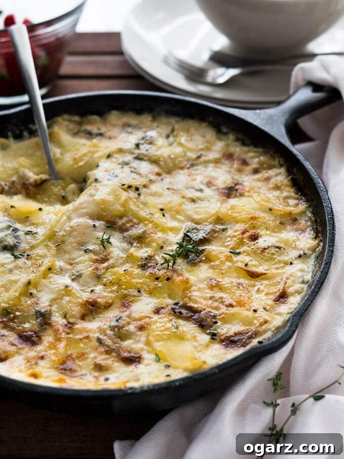 Gorgonzola Potatoes au Gratin Recipe is the only potato bake recipe you'll ever need! This easy, creamy Gratin au Dauphinoise recipe is full of cheese and makes a great comfort food which is perfect to feed a crowd. 
