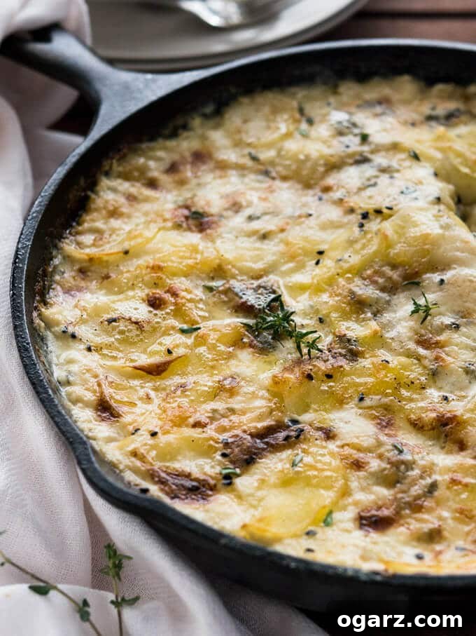Gorgonzola Potatoes au Gratin Recipe is the only potato bake recipe you'll ever need! This easy, creamy Gratin au Dauphinoise recipe is full of cheese and makes a great comfort food which is perfect to feed a crowd. 