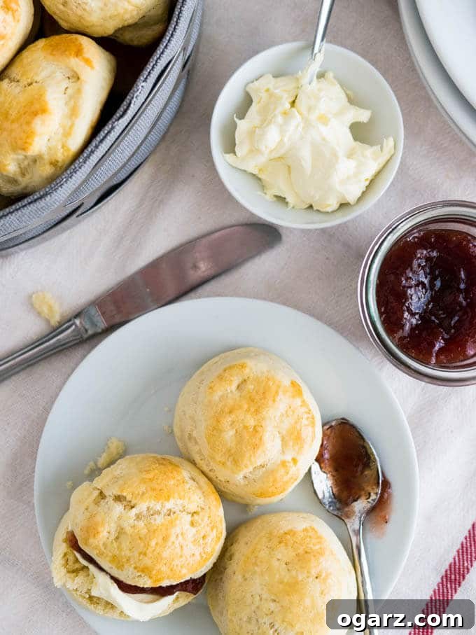 Effortless English Scones 6 A stunning arrangement of freshly baked Easy British Afternoon Tea Scones, showcasing their golden-brown tops and perfect rise. These scones are ideal for entertaining guests, incredibly fast and easy to make, and offer the convenience of being prepared in advance and frozen for future enjoyment.