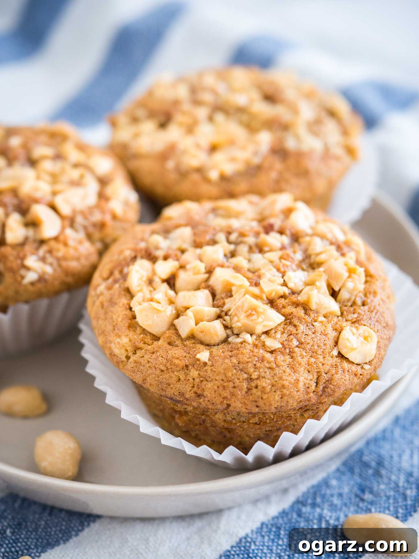Peanut Butter Banana Bliss Muffins 3 3 peanut butter banana muffins, topped with peanuts with their liners opened on a grey plate on a white and blue dishtowel.