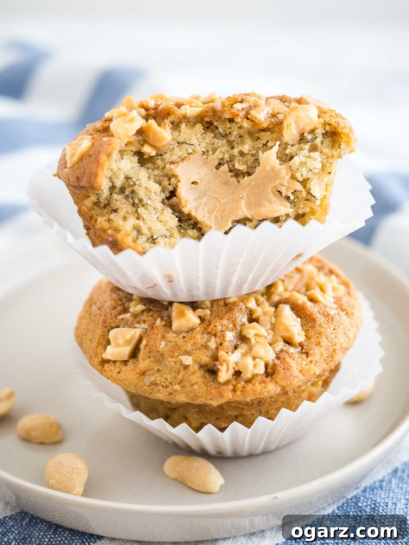 Peanut Butter Banana Bliss Muffins 5 2 peanut butter banana muffins, topped with peanuts with their liners opened stacked on top of each other on a grey plate on a white and blue dishtowel. A big bite has been taken out of the top muffin revealing a peanut butter core.