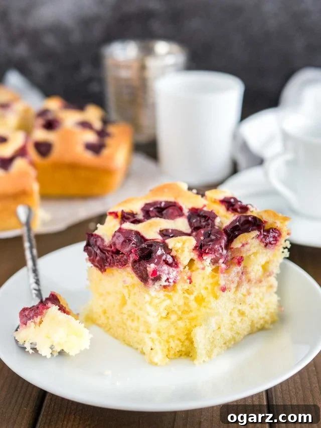 Cherry Cake with sour cherries and vanilla is a simple snack cake that tastes delicious and is so easy to make in less than 10 minutes. Perfect for surprise guests and dessert cravings! #cherrycake #cherries #cake #coffeecake #easyrecipes #baking A piece of cherry cake on a white plate with a piece taken out of it by a spoon. The rest of the cake is in the background as well as a white cup.