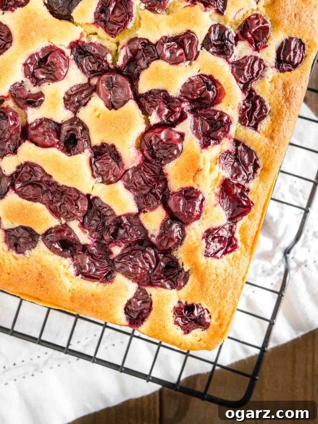 Cherry Cake with sour cherries and vanilla is a simple snack cake that tastes delicious and is so easy to make in less than 10 minutes. Perfect for surprise guests and dessert cravings! #cherrycake #cherries #cake #coffeecake #easyrecipes #baking top-down shot of a cherry cake on a black cooling rack.
