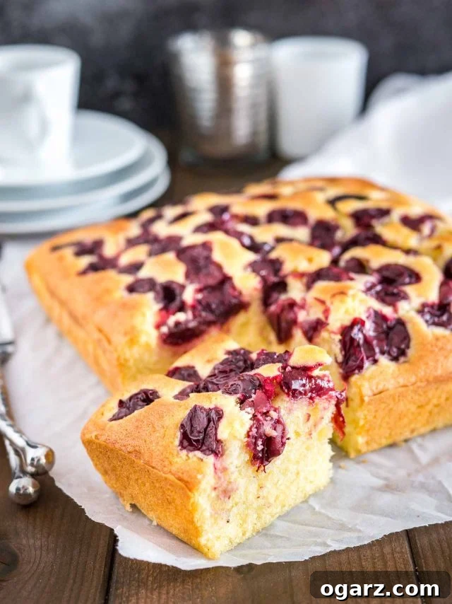 Cherry Cake with sour cherries and vanilla is a simple snack cake that tastes delicious and is so easy to make in less than 10 minutes. Perfect for surprise guests and dessert cravings! #cherrycake #cherries #cake #coffeecake #easyrecipes #baking A cherry cake with one piece cut out in front of it on parchment paper. There's a stack of white plates with a cup on top in the background.