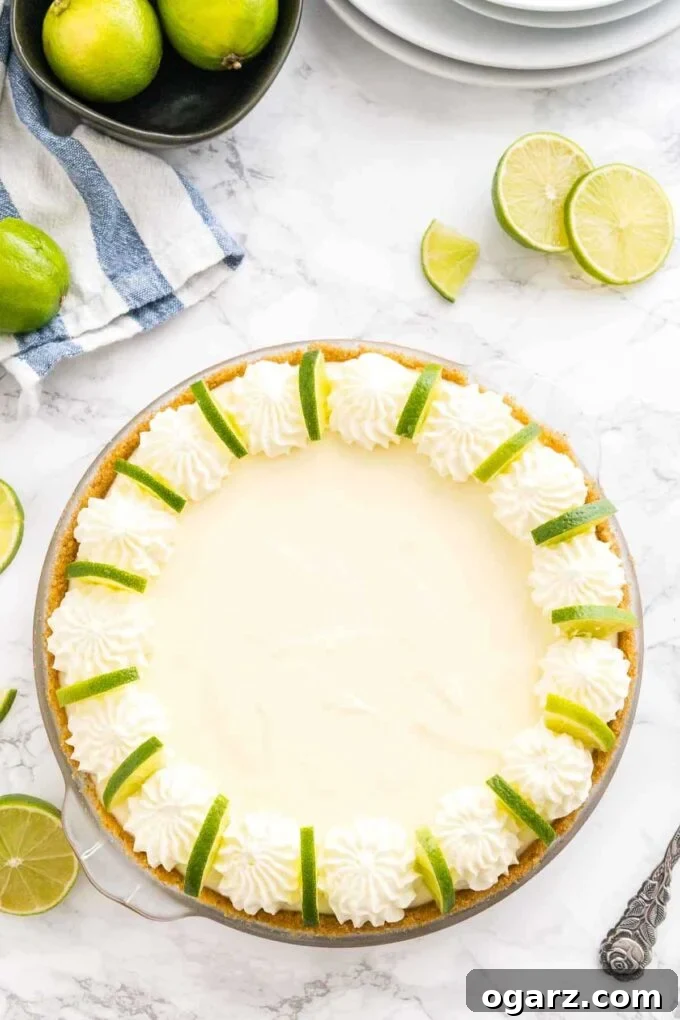 Tangy No-Bake Key Lime Pie 2 A whole No-Bake Key Lime Pie decorated with swirls of whipped cream and fresh lime slices, ready to be served on a pristine white background.