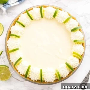 A key lime pie decorated with whipped cream and lime slices