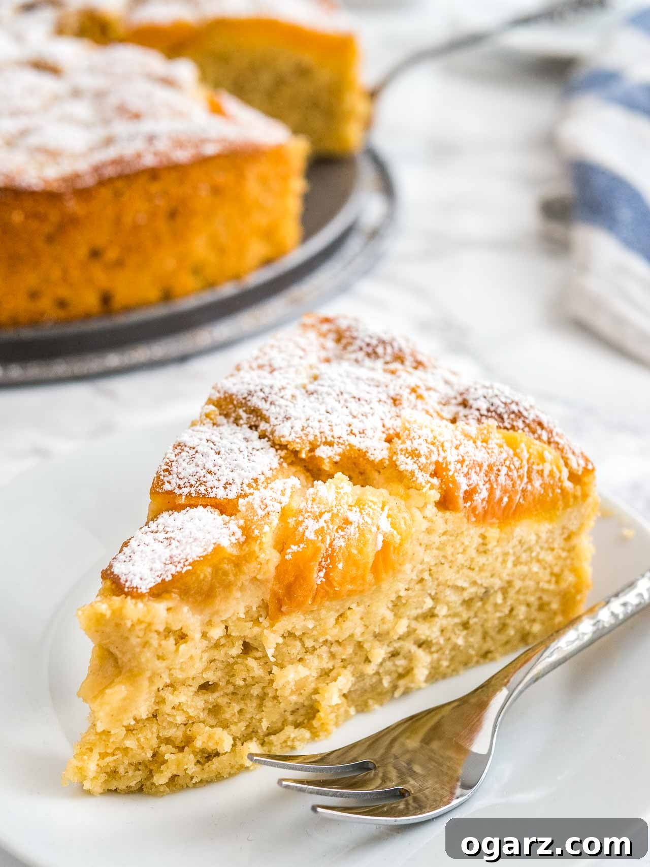 Golden Apricot Delight 3 Close-up of a slice of apricot cake on a white plate with a fork, showing its moist texture and apricot pieces. The rest of the cake is in the background next to a white and blue dishtowel.