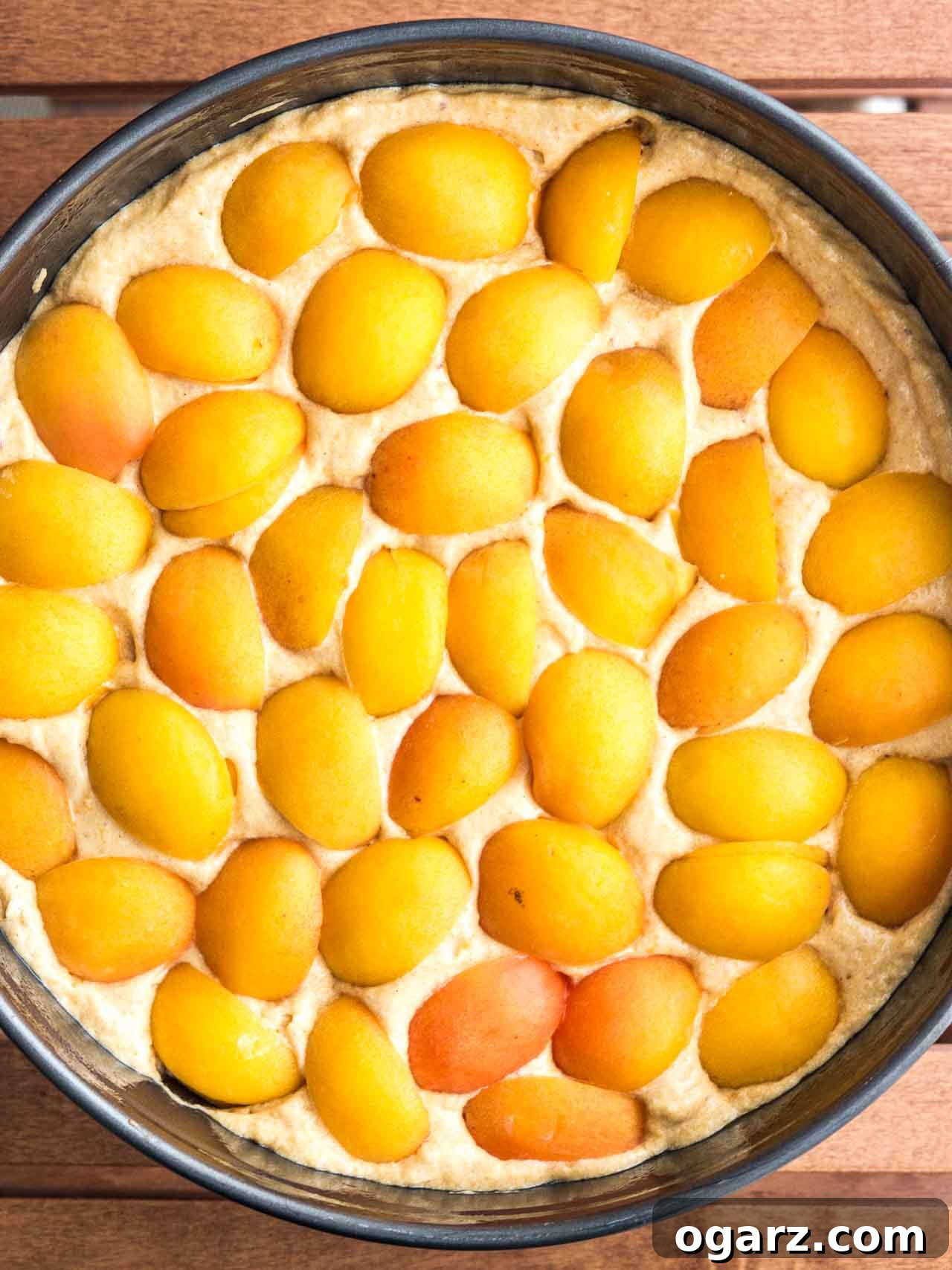 Golden Apricot Delight 4 Apricot cake batter topped with halved apricots in a springform pan, ready for baking.