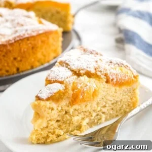 A slice of apricot cake on a white plate with a fork. The rest of the cake is in the background next to a white and blue dishtowel.