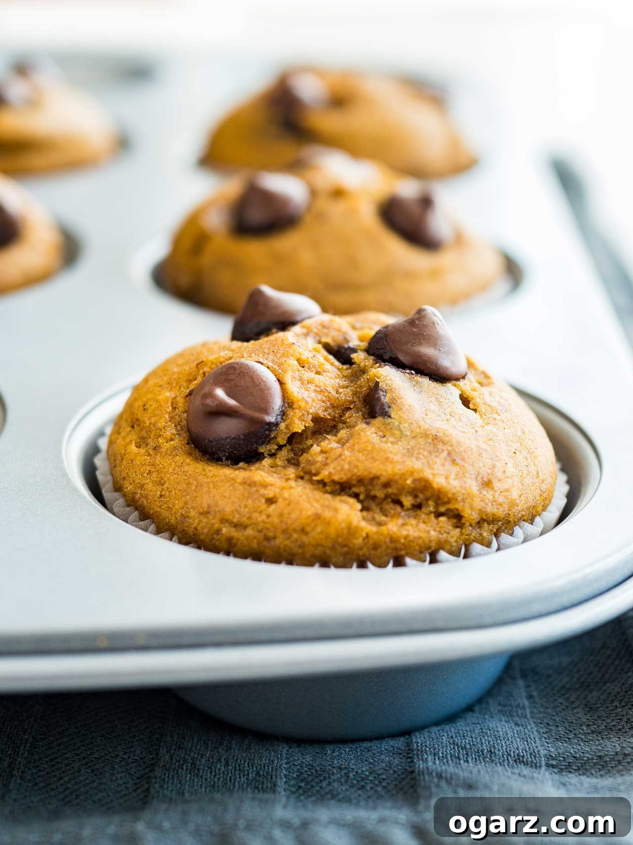Harvest Spice Pumpkin Chocolate Chip Muffins 2 A grey muffin pan with freshly baked pumpkin chocolate chip muffins on a grey dishtowel.