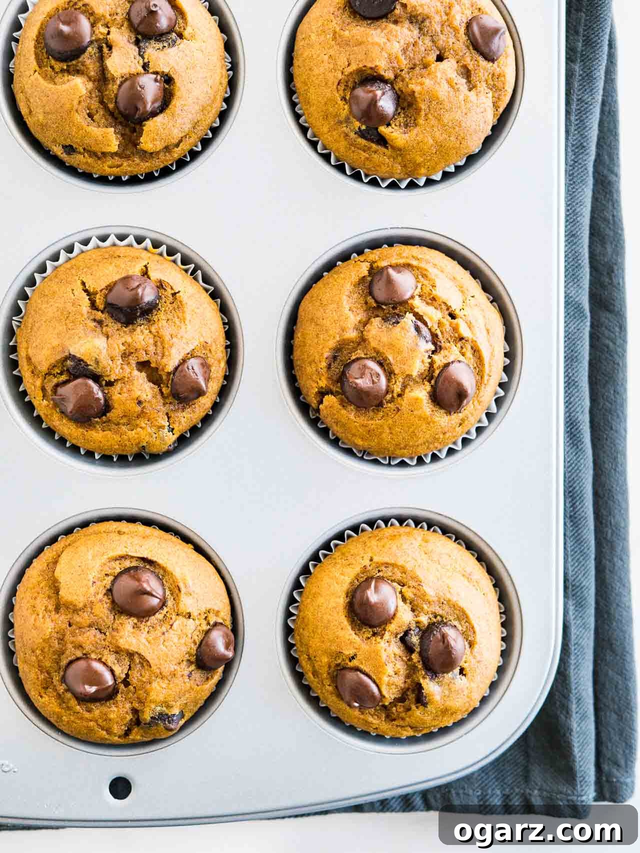 Harvest Spice Pumpkin Chocolate Chip Muffins 5 Top-down shot of a grey muffin pan with baked pumpkin chocolate chip muffins on a grey dishtowel.