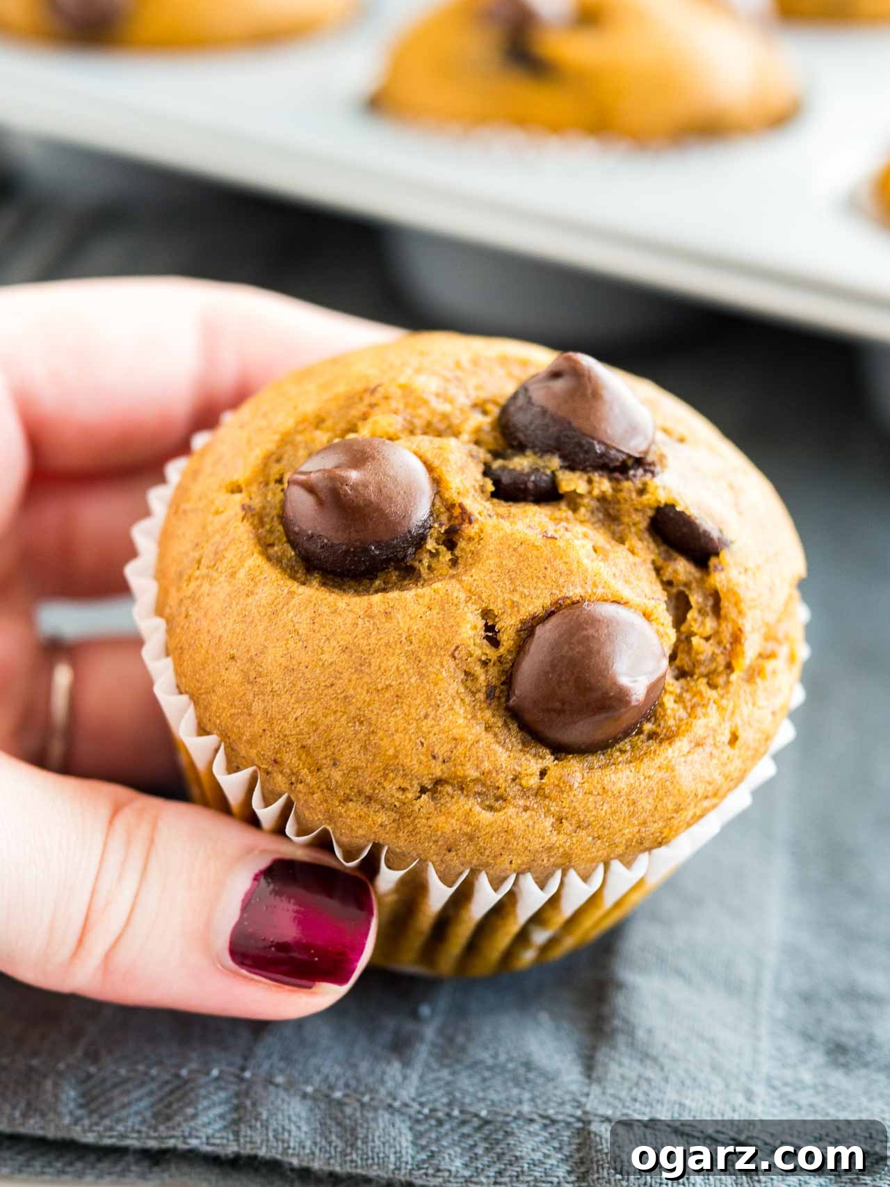 Harvest Spice Pumpkin Chocolate Chip Muffins 6 A hand with red nail polish holding up a pumpkin chocolate chip muffin over a grey dishtowel and a grey muffin pan with muffins.
