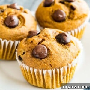 Close-up of pumpkin chocolate chip muffins on a white plate.