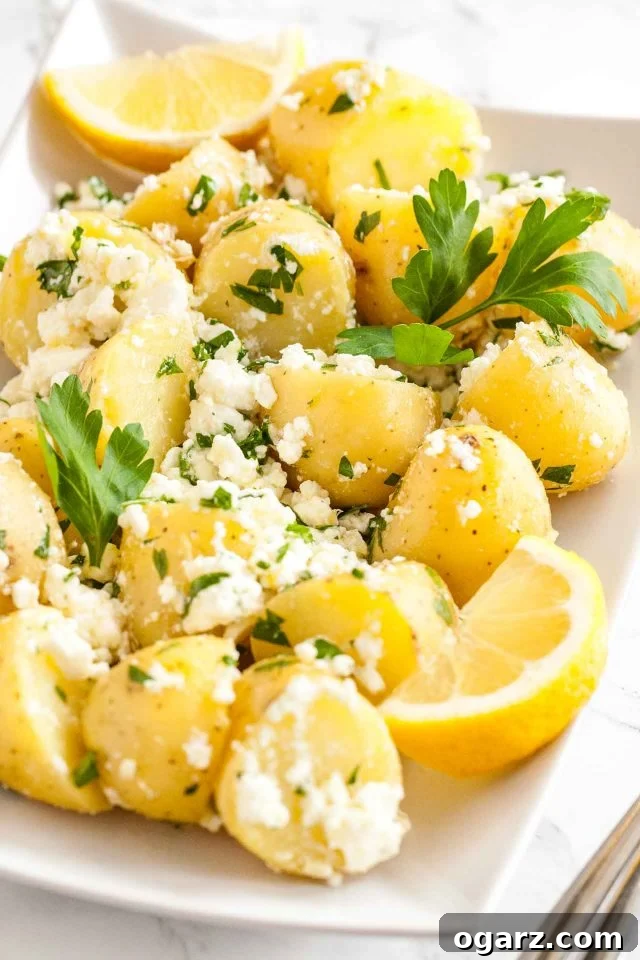 A close-up of a rectangular plate filled with Greek-Style Boiled Potatoes, adorned with crumbled feta and fresh parsley, and a vibrant lemon wedge, all arranged on a elegant marble surface.