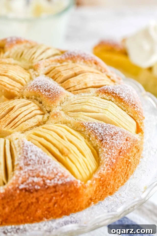 A whole German Apple Cake with quartered apples sunken into the top on a glass serving platter, beautifully presented.