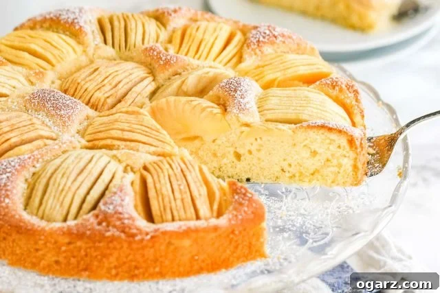 A beautifully baked German Apple Cake with quartered apples sunken into the top on a glass serving platter, dusted with powdered sugar.