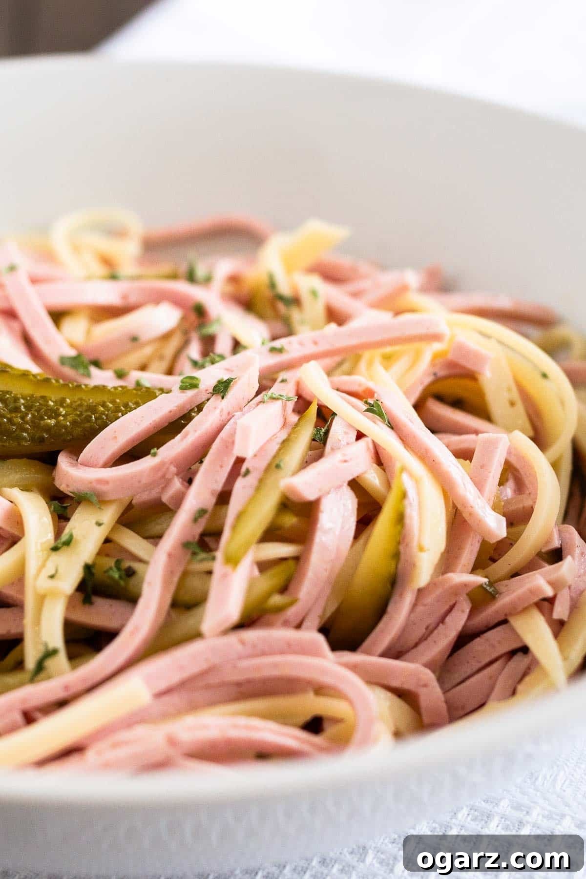 German Sausage Salad 3 Thinly sliced sausage, Emmental cheese, and pickles in a white bowl.