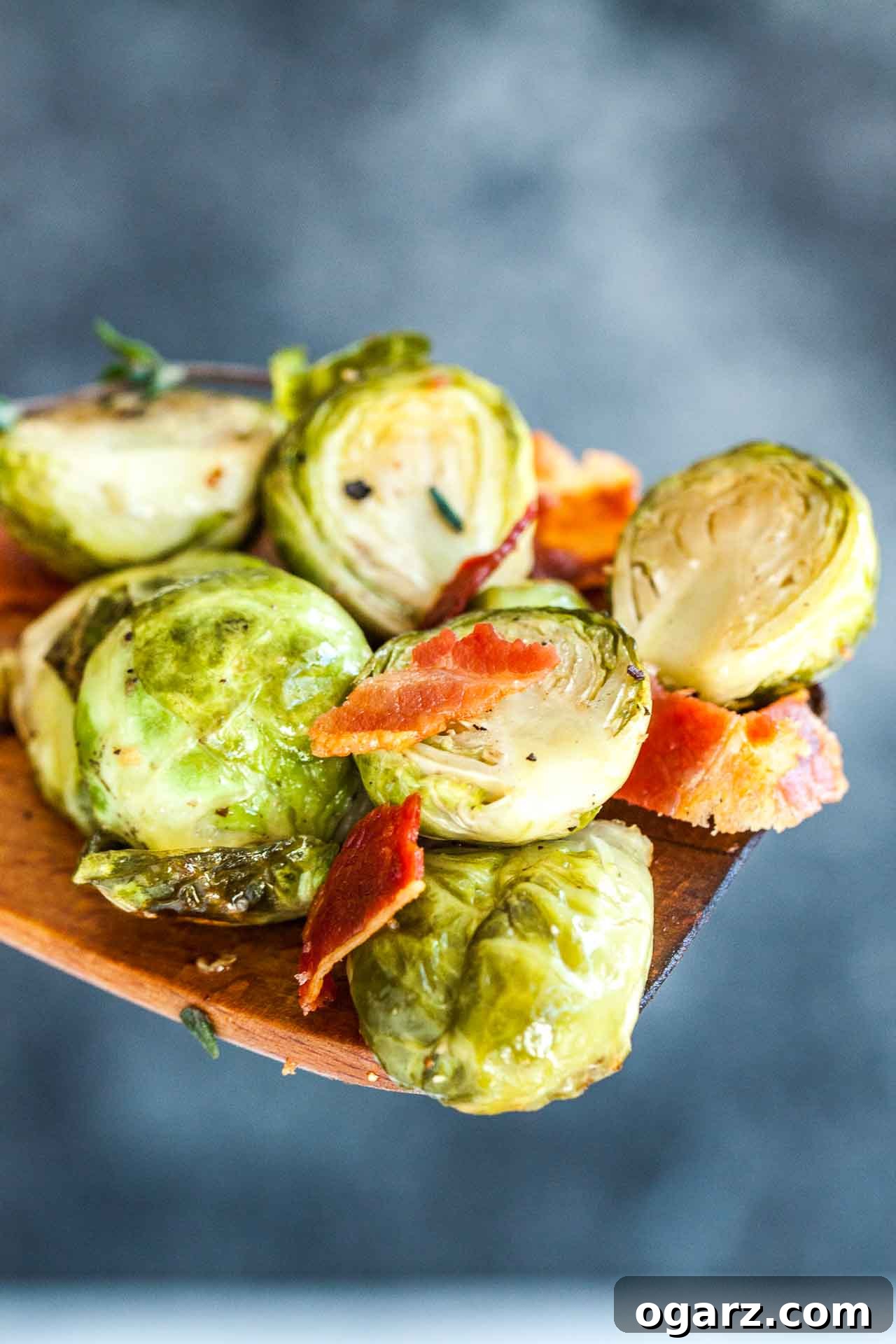 Crispy Brussels Sprouts with Smoked Pork Belly 3 Roasted brussels sprouts with bacon on a wooden cooking spatula in front of a grey background.