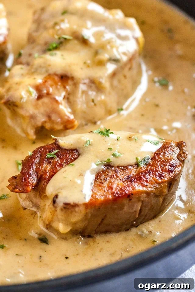 Pork Medallions with Blue Cheese Indulgence 5 Two perfectly pan-seared pork medallions resting in a pan, partially covered in the luscious blue cheese sauce, showcasing the dish's irresistible appeal.