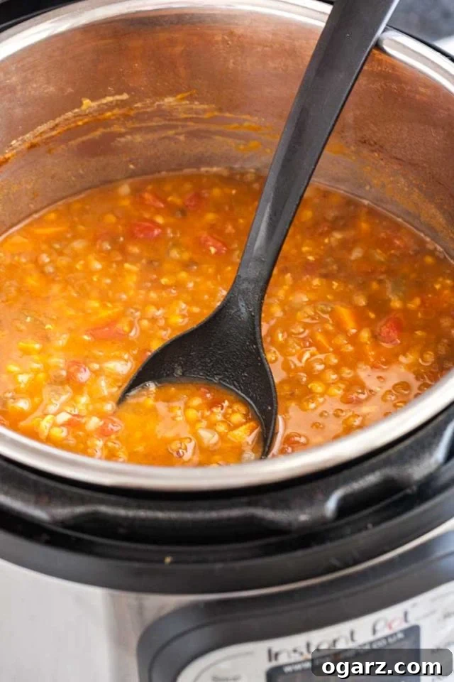 Instant Pot Lentil Soup loaded with flavorful vegetables, brown lentils, and shredded chicken, ready to be served. A healthy, easy, and budget-friendly pressure cooker recipe. An open Instant Pot showcasing the cooked lentil soup with a black cooking spoon resting inside. The steam has cleared, revealing the rich texture and ingredients of the soup.