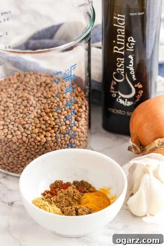 Essential ingredients for Instant Pot Lentil Soup: brown lentils, fresh vegetables, and aromatic spices. An easy, healthy, and budget-friendly recipe. A glass measuring bowl filled with dry brown lentils, accompanied by a butternut squash, a bulb of garlic, and a small white bowl with various spices, all arranged on a marble surface with a white and blue dishtowel in the background.