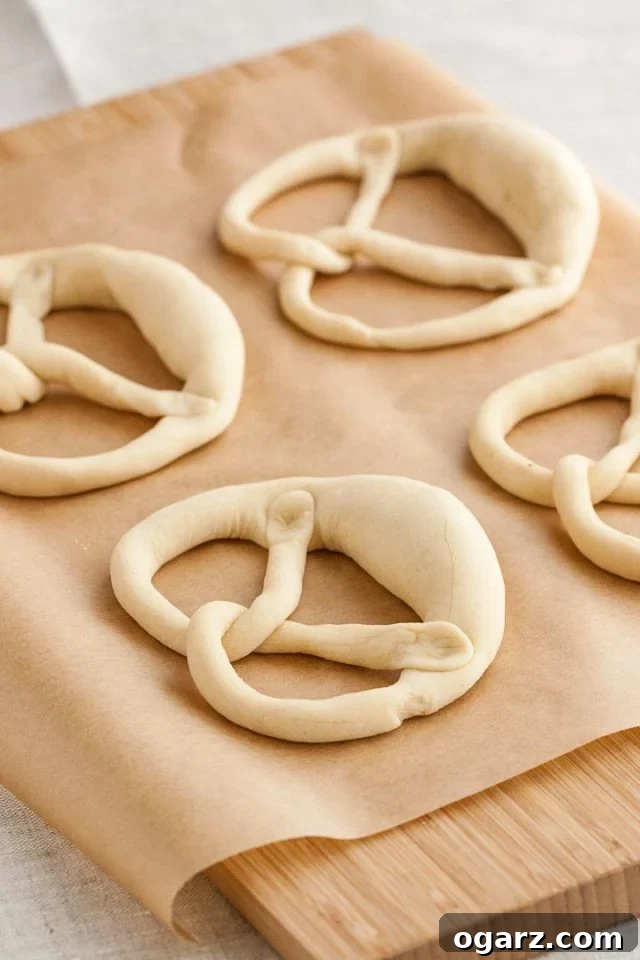 Hearty Bavarian Knots 7 Four perfectly shaped Bavarian pretzels arranged on parchment paper, prior to their baking soda bath and oven bake.