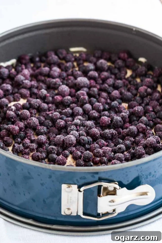 An unbaked blueberry coffee cake in a springform pan, generously topped with an abundance of frozen blueberries, ready to be covered with streusel before baking.