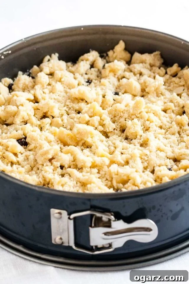 A blueberry breakfast cake in a springform pan, beautifully topped with a generous layer of golden-brown streusel, ready to go into the oven for baking.