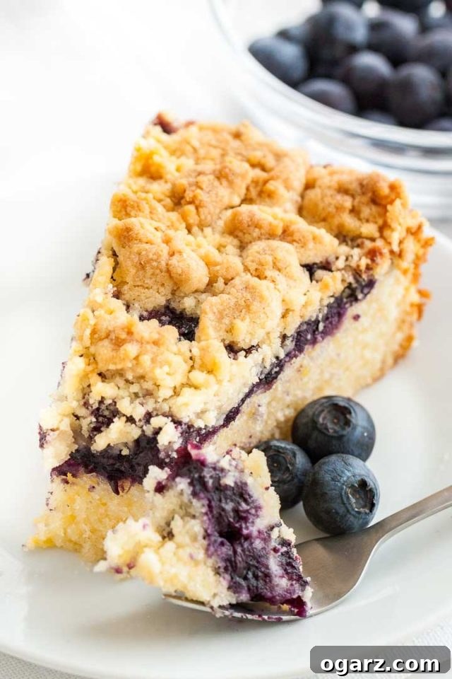 A perfectly portioned slice of blueberry breakfast cake with its golden streusel topping, presented on a pristine white plate and garnished with fresh blueberries. A fork rests beside the slice, having just taken a bite, with a glass bowl of fresh blueberries softly blurred in the background.