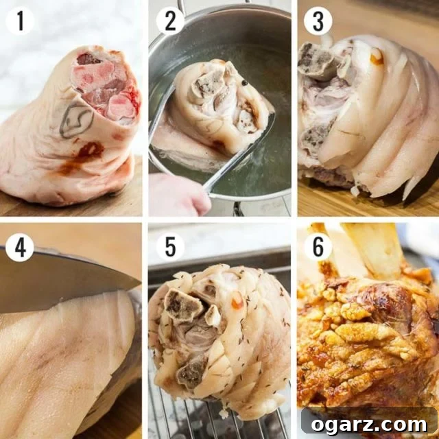 Pork Hock Cooking Steps A visual guide showing the key steps to preparing German Pork Hock, from simmering with aromatics to scoring the skin.